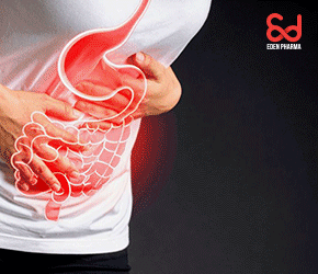 넥스틸투엑스정