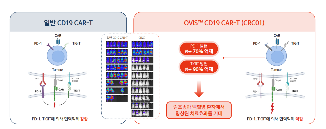 국내 개발 최초 허가 CAR-T '림카토' 3상 면제 이유는