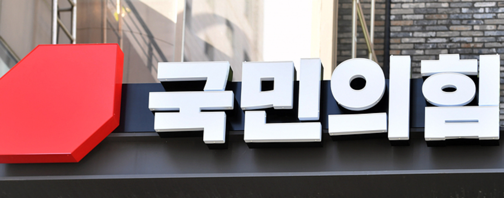 "중증·희귀질환보다 M자 탈모가 먼저냐"…국힘, 대정부 공세