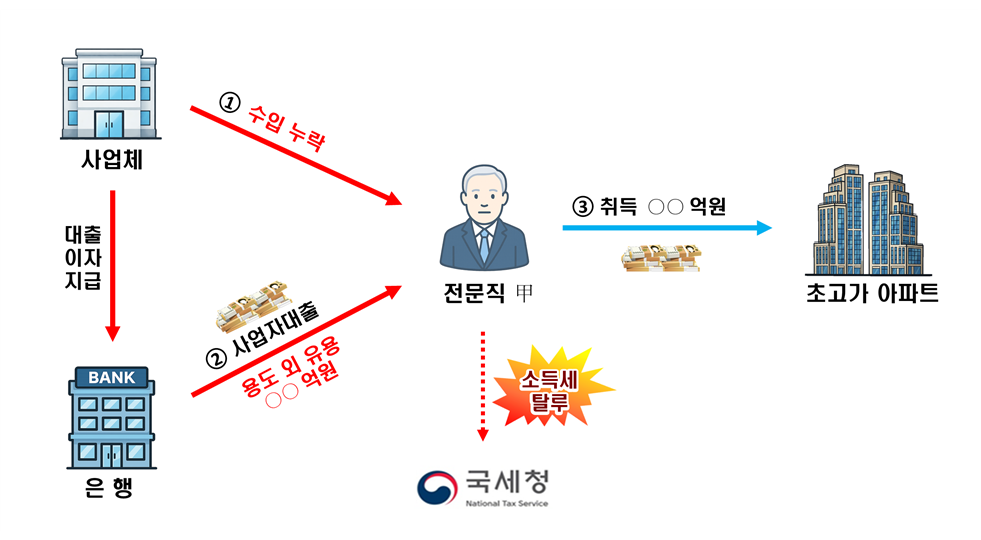 국세청, 사업자 대출 주택 취득 검증...의사 등 전문직 포함