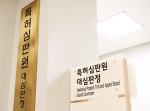 케이캡, 물질특허 방어...제네릭, 펠루비·듀카브 분쟁 승전보
