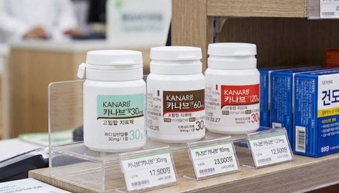 카나브 제네릭 9개월 점유율 0.5%…오리지널 방어력 견고