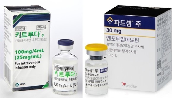 파드셉-키트루다 약가협상 개시...가격방어 딜레마 직면
