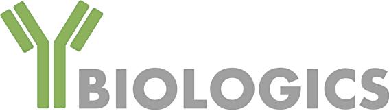와이바이오로직스, 바이오USA서 다중항체 기술이전 논의