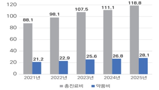 지난해 약품비 28조 넘겨...등재 품목은 5년간 감소세