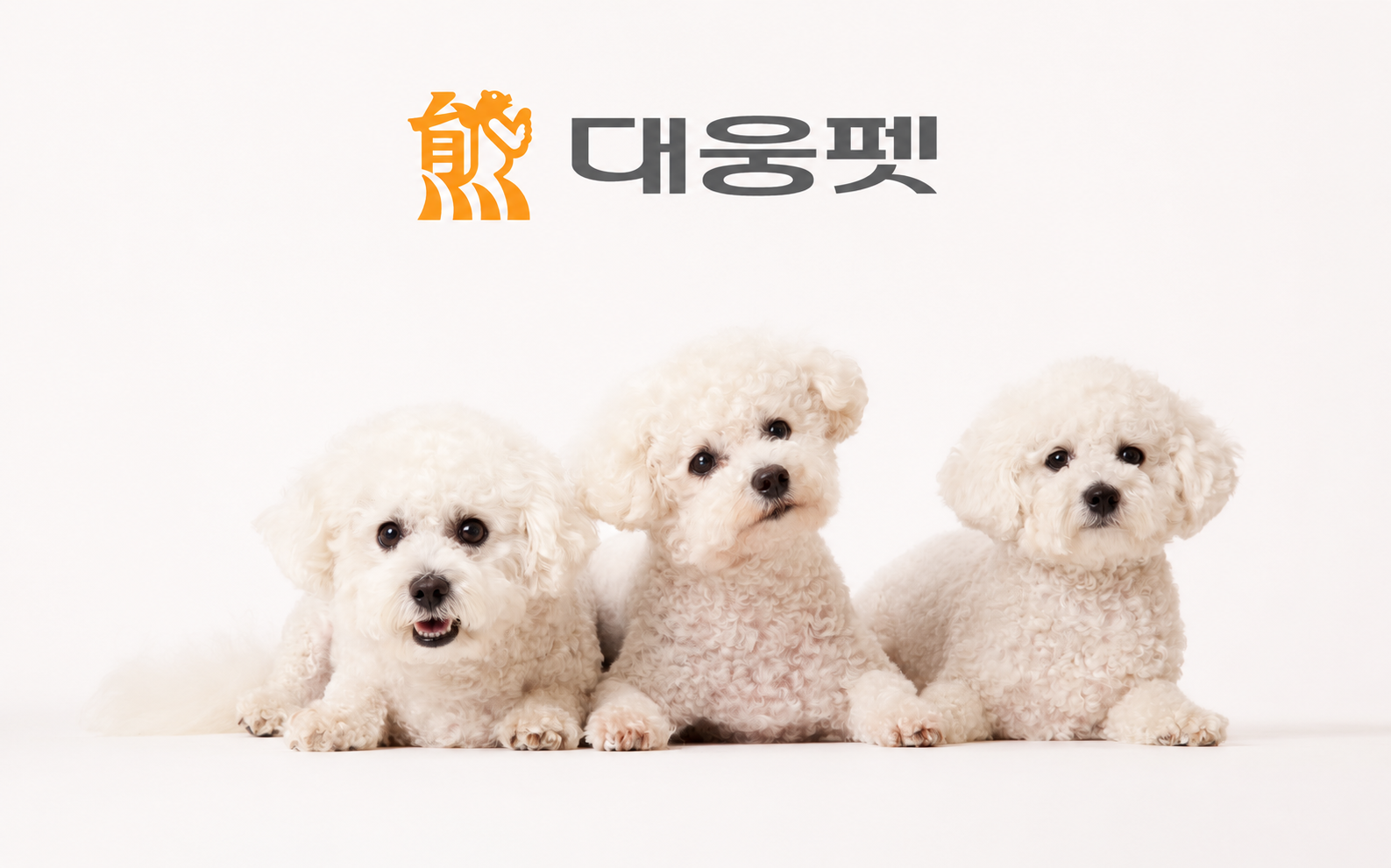 대웅제약, 대웅펫으로 건기식 넘어 치료제·CRO 확장